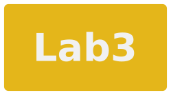 lab3