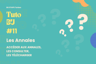 Miniature Tuto Consultations des Annales