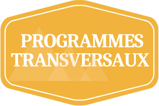 Programmes transversaux Autres structures