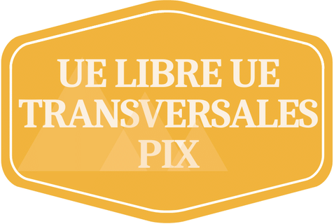 UE Libres UE Transversales C2I/PIX