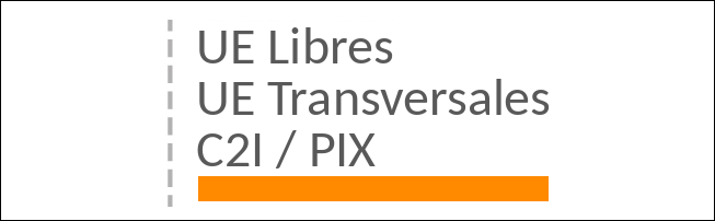 UE Libres UE Transversales C2I/PIX