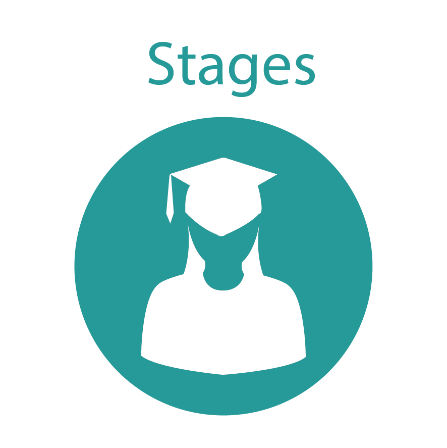 Liens vers les stages